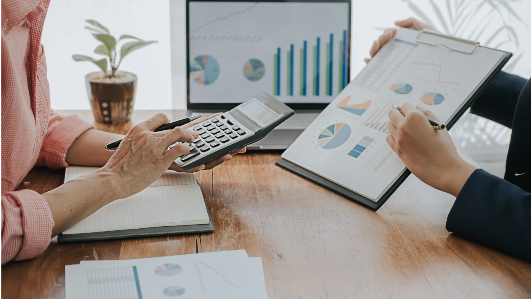 Business Growth Bridge, Series, Organizations